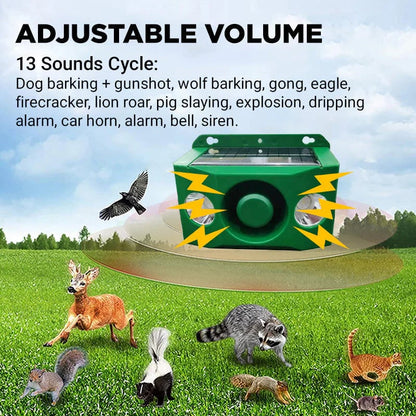 Powerful Solar Predator Deterrent Lights for Enhanced Protection(BUY 1 GET 1 FREE )