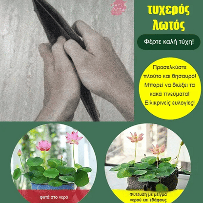 🌸【7 days germination】Last Day 50% OFF💐The Sacred Bonsai Bowl Lotus Flower Seeds | 🔥Buy 1 Get 1 Free🔥
