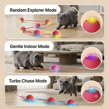 ChaseBall™ - Auto Movement | Active Play | Rechargeable Pet Ball