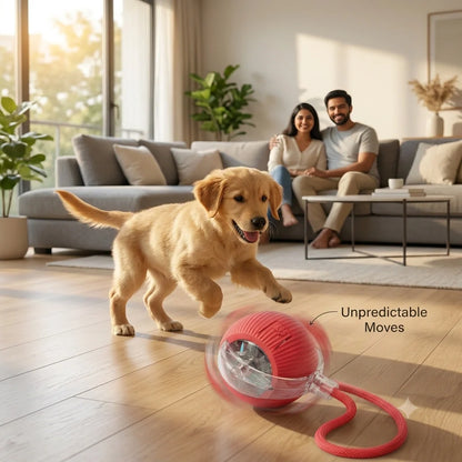 ChaseBall™ - Auto Movement | Active Play | Rechargeable Pet Ball