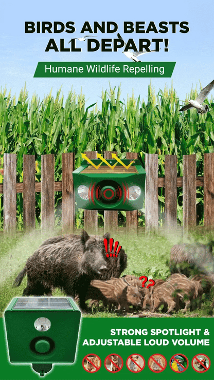 Powerful Solar Predator Deterrent Lights for Enhanced Protection(BUY 1 GET 1 FREE )